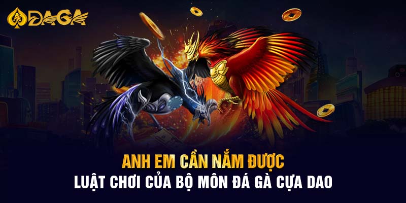 Anh em cần nắm được luật chơi của bộ môn đá gà cựa dao