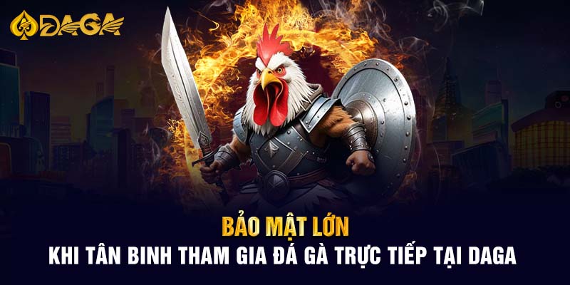 Bảo mật lớn khi tân binh tham gia đá gà trực tiếp tại Daga