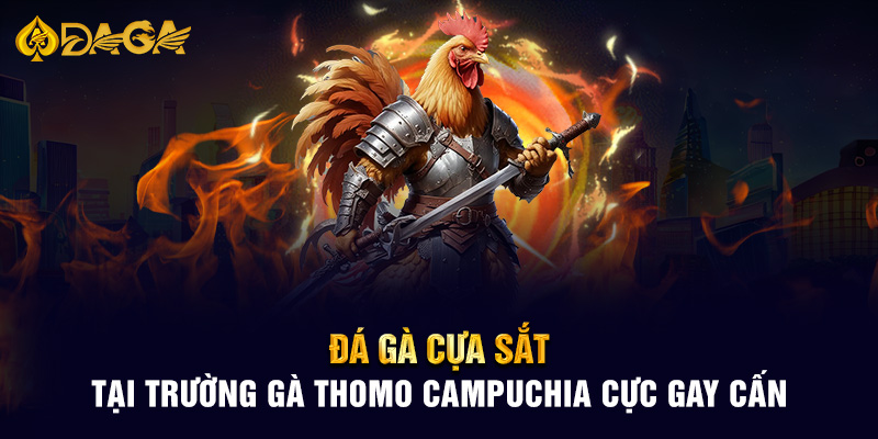 Đá gà cựa sắt  tại trường gà Thomo Campuchia cực gay cấn