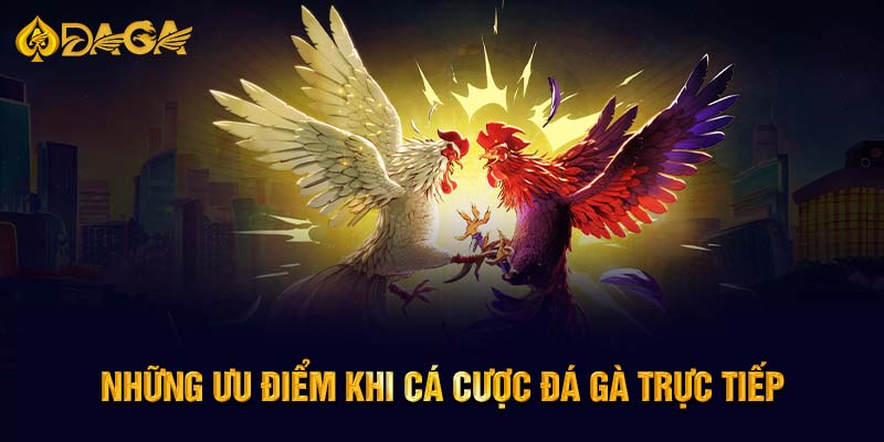 Những ưu điểm khi cá cược đá gà trực tiếp