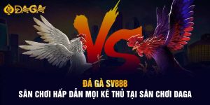 Đá Gà Sv888 Sân Chơi Hấp Dẫn Mọi Kê Thủ Tại Sân Chơi Daga